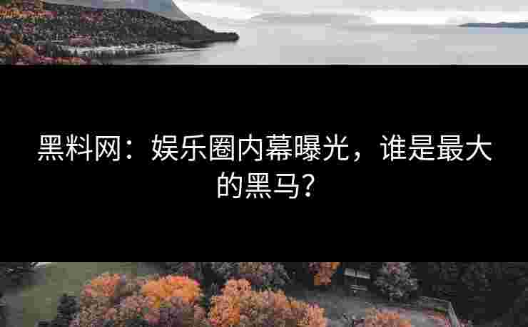 黑料网：娱乐圈内幕曝光，谁是最大的黑马？