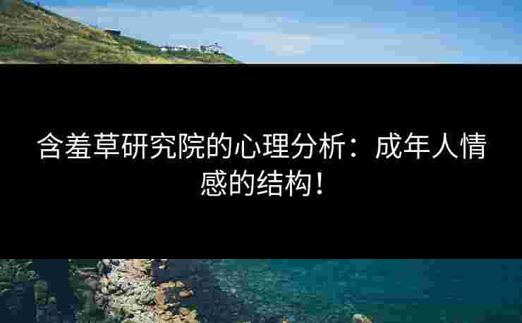 含羞草研究院的心理分析：成年人情感的结构！